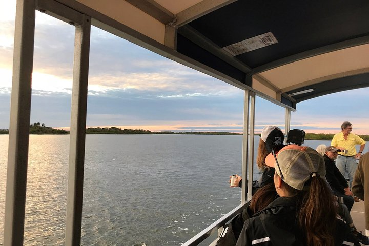 Wildlife Tour of Indian River Lagoon with Experienced Captain - Photo 1 of 14